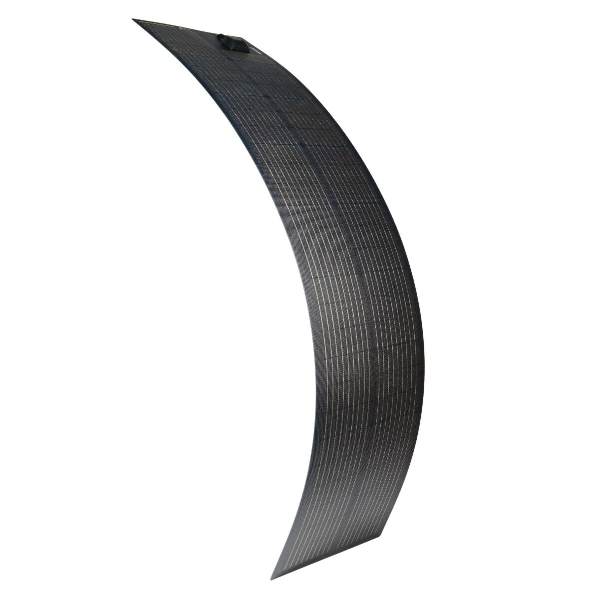 Semiflexible Module