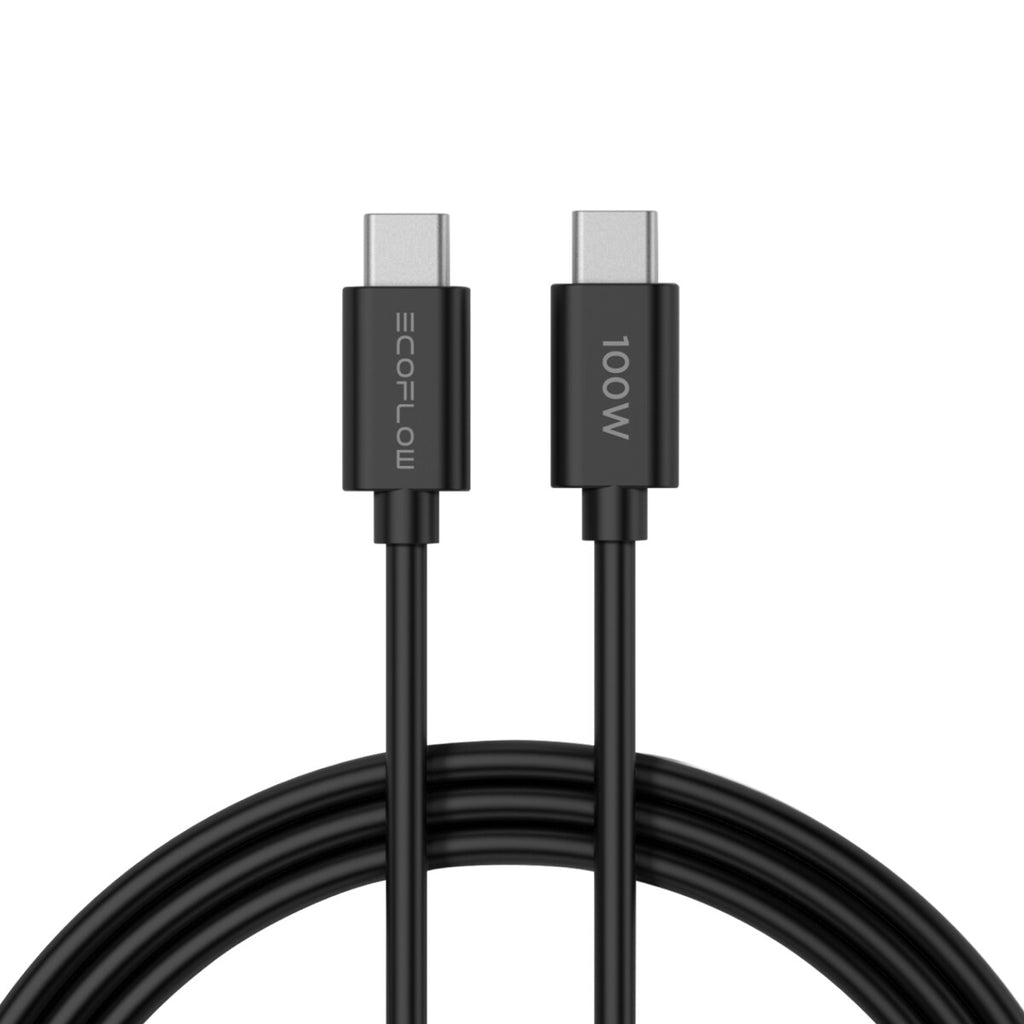 EcoFlow Rapid 65 W Ladegerät
